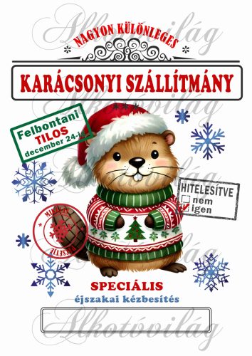 Mikulászsák karácsonyi zöld-piros ruhás cuki hóddal 2 - december 24-re